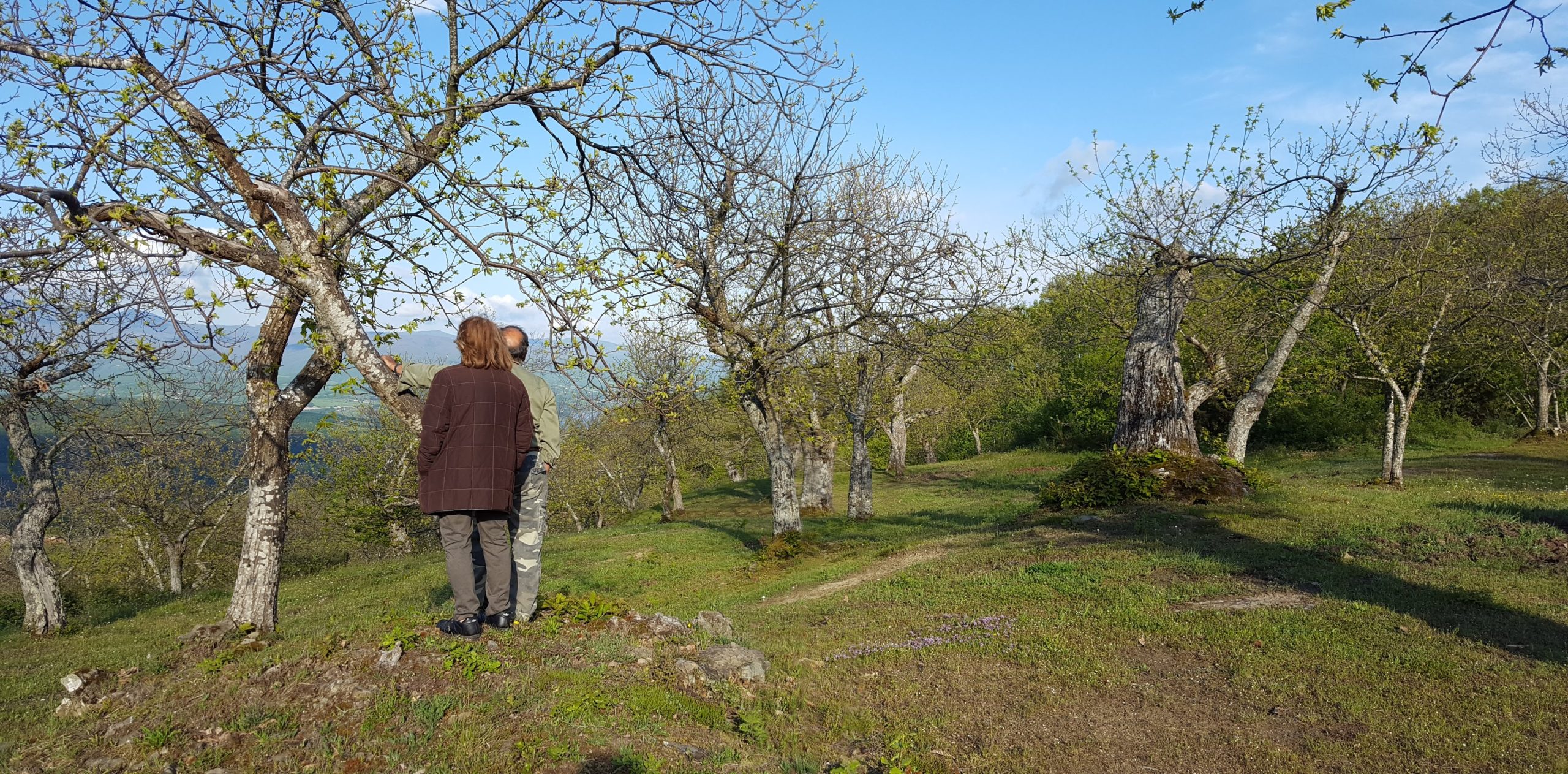La roverella Funghi e Tartufi
